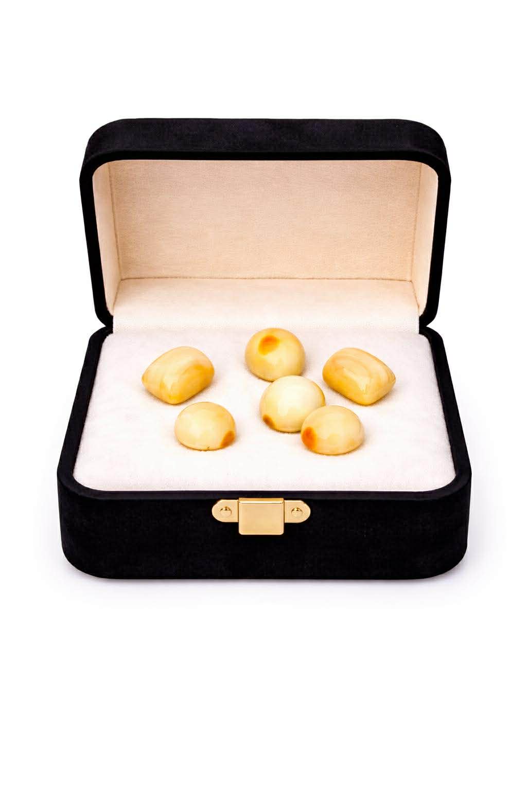 Japanese White Marjan (Original Coral)