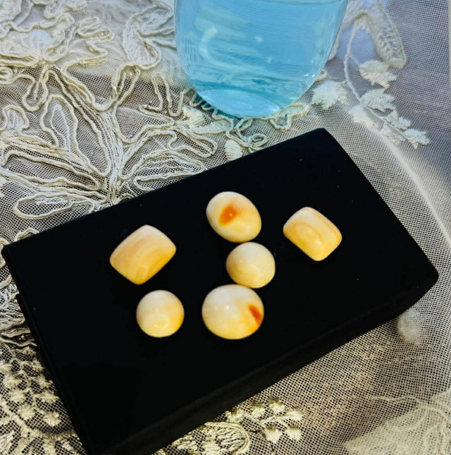 Japanese White Marjan (Original Coral)